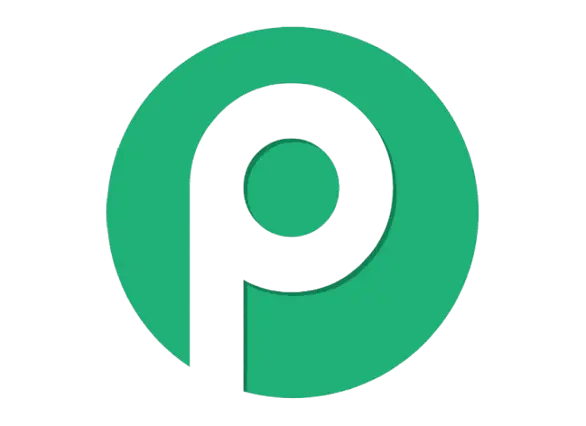 Pabbly Connect Icon