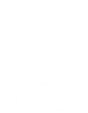 Mailchimp Icon